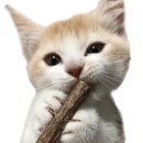 바이엘약국 이미지