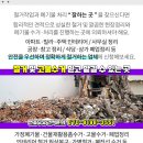 풍년카센타 이미지