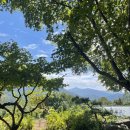 당골농원 | ★구례여행기 1일차★ 풀꽃농원 / 쌍산재 여행 / 봉성피자 후기 / 가을방학같았던 여름휴가