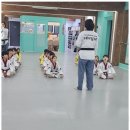 다온 태권도 이미지