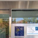 정자로41번길 이미지