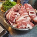 댕댕맛집 이미지