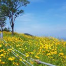 옥포대첩로 이미지