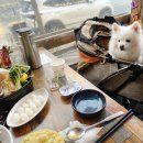 금곡횟집 | 수원 애견동반 횟집 호매실 금곡회관 강아지와 다녀온 후기