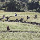 대화제1경로당 이미지