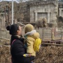 라 비 채 | [공지] 에버랜드 워킹사파리 아기랑 하루 두 탕 후기 : 유모차 아기띠 비교 / 평일 예약 입장권 비오는날