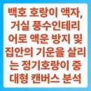 풍수지리 심화 | 백호 호랑이 액자, 거실 풍수인테리어로 액운 방지 및 집안의 기운을 살리는 정기호랑이 중대형 캔버스...