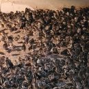 수안보농장 이미지