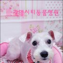 광명시티동물병원 이미지