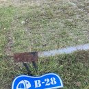 B28 | 삼락생태공원 오토캠핑장 B28 사이트 이용후기 (강풍을 곁들인..)