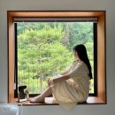 스테이246