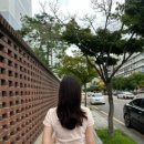 서광동물병원 | 광주 금호동 미용실 라도헤어 금호점 레이어드 C컬펌 후기