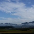 장선농장 이미지