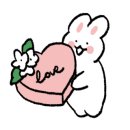 솔재해물칼국수 이미지