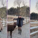 영수농장 이미지