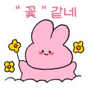 서가네김치