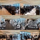 헬스케어인력 | 강남 온리원 PT 스튜디오, 렉스코 머신 헬스 기구 납품·설치 완료 후기