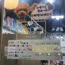 누렁이도 찰스로 애견샵 이미지