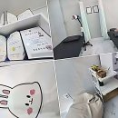 새아침안마원 | 거북목 탈출 빌런이 드디어 찐 꿀팁 발견! 부산마사지샵 썰 풉니다