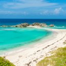 카리브해 이미지