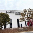 디바인밸리 이미지