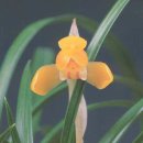 (주)금화 이미지