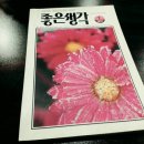 좋은생각 이미지