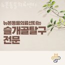 뉴본동물의료센터 이미지