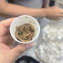 지리산황치마을영농조합법인 | 2025 서울국제주류&amp;와인박람회 2탄! 와인처돌이 와인구매, 안주추천
