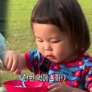신우푸드 스포츠경향
