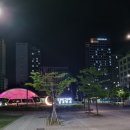 양계장집아들영종