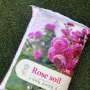 프리미엄맘 | 프리미엄 장미전용 흙 트리맘로즈쏘일 사용후기 장미 키우기 필수 가드닝 아이템