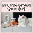 쌤아저씨 | 고양이 구내염 영양제 쌤아저씨 닥터콜 3개월 급여후기