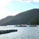 잠포학교 이미지