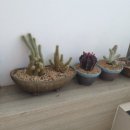 현대자동차 상남점 이미지