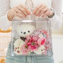 가행나무 이미지