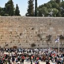 장관종합전문정비 이미지