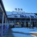 해안로3L | 대천 토모노야 료칸 호텔 다다미 스위트 더블 룸 장단점 솔직 후기