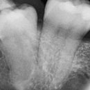 드림치주과치과의원 이미지