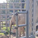 완산-89 | 아이랑 가기 좋은 국내여행) 3돌 아기랑 2일간 전주여행 후기