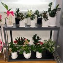 홈플러스(주)세종점 이미지