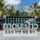 일요농장 | 치앙마이 토요마켓 ‘코코넛 마켓’ 추천 후기