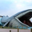 장생포고래로 이미지