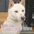 쌍용종합정비공업사 이미지