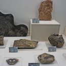 덕소자연사박물관 이미지