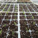 영고농장 이미지