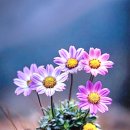 7월 16일 수요일 간추린 뉴스와 날씨 이미지