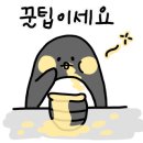 가우디하우스 - 연천군 연천로 156 | 가우디하우스