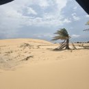 대화목장 | 베트남 나트랑 사막투어 양떼목장 솔직후기, 모래와의 전쟁 끝에 얻은 사진