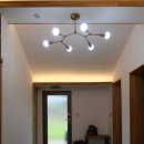 불란지스테이 이미지